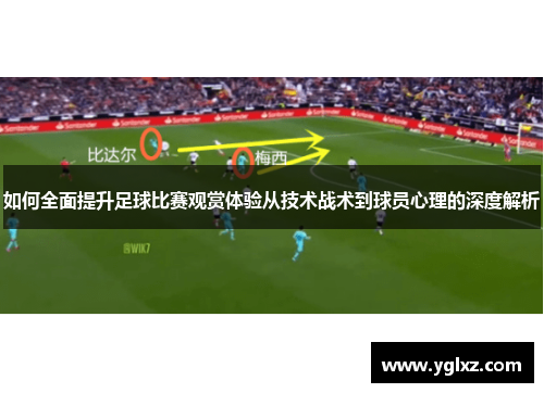 如何全面提升足球比赛观赏体验从技术战术到球员心理的深度解析
