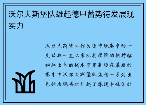 沃尔夫斯堡队雄起德甲蓄势待发展现实力