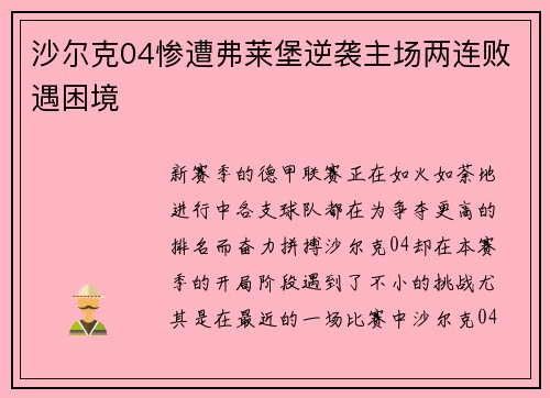 沙尔克04惨遭弗莱堡逆袭主场两连败遇困境